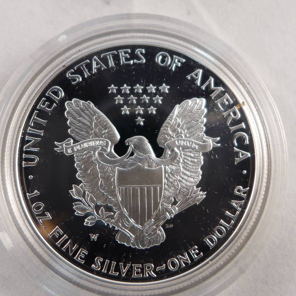 2002-W Proof Silver Eagle showing deep cameo contrast between frosted design and mirror fields, with W mint mark